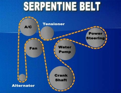 serpentine belt