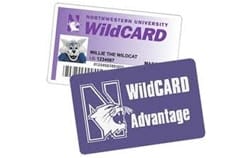 NU Wildcard